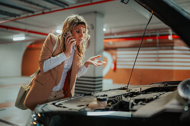 How Can You Avoid Expensive Car Repairs This Year?